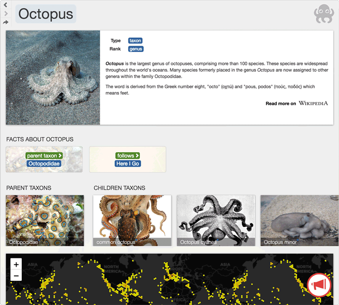 Search: octopus